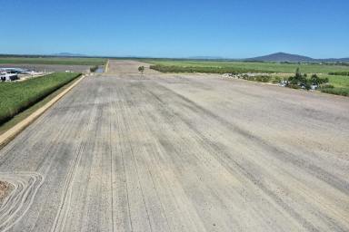 Farm For Sale - QLD - Horseshoe Lagoon - 4809 - 126 Acre Cropping Property - Horseshoe Lagoon - Open Water & Bore Water  (Image 2)