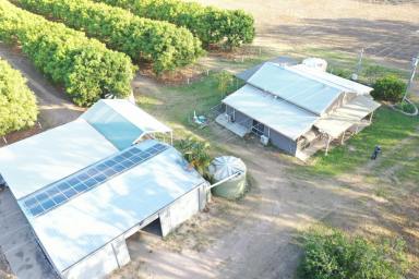 Farm Sold - QLD - Kirknie - 4806 - 20 Acre Lifestyle Property - House - Sheds - Irrigation - River Frontage  (Image 2)