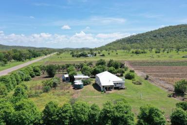 Farm Sold - QLD - Majors Creek - 4816 - Queenslander on 20 Acres - Bore + Granny Flat  (Image 2)