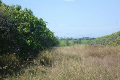 Farm Sold - QLD - Mount Kelly - 4807 - 10.72 Acres - Mount Kelly Elevated Allotment with Subdivison Potential  (Image 2)