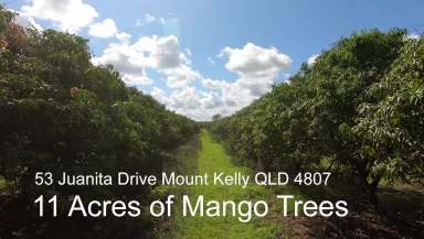 Farm Sold - QLD - Mount Kelly - 4807 - 10.72 Acres - Mount Kelly Elevated Allotment with Subdivison Potential  (Image 2)