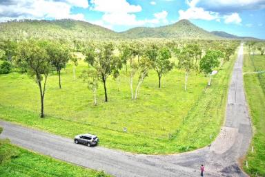 Farm Sold - QLD - Brookhill - 4816 - Investment Property 236 Acres with 2 Houses - Sheds - 2 Bores - Yards  (Image 2)
