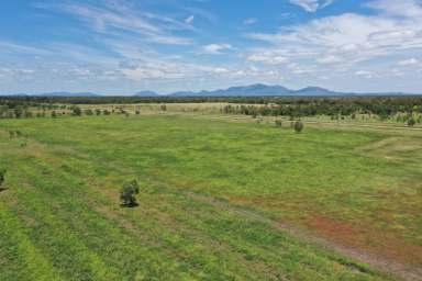 Farm Sold - QLD - Gumlu - 4805 - 197 Acres - Block Home - Large Sheds - Lrg Dam - Cottage  (Image 2)