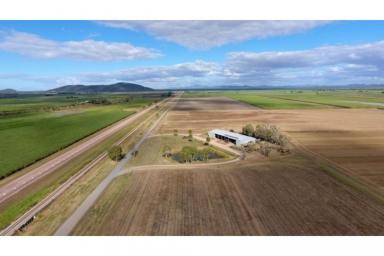 Farm For Sale - QLD - Fredericksfield - 4806 - 125 Acre Cane / Hay Farm - Burdekin Region  (Image 2)