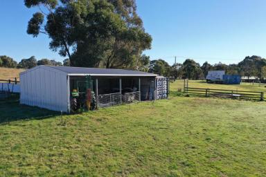 Farm Sold - VIC - Nicholson - 3882 - Acreage Lifestyle in Landsman Drive.  (Image 2)