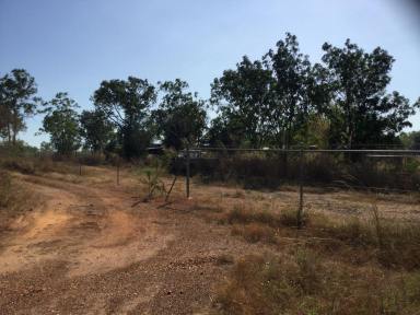 Farm Sold - NT - Darwin River - 0841 - Excellent Farm Acreage 365 days water supply  (Image 2)