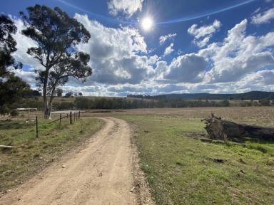 Farm Sold - NSW - Portland - 2847 - Looking for private sweeping views of a natural landscape with a classic Australiana feel? Look no further than this low-maintenance acreage.  (Image 2)