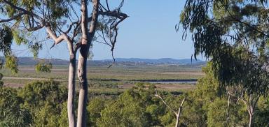 Farm For Sale - QLD - Coowonga - 4702 - Opportunity of a Lifetime!  (Image 2)