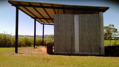 Farm Sold - QLD - Friday Pocket - 4855 - Cane Block ElArish $275K  (Image 2)