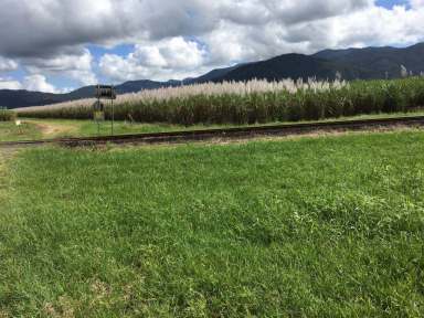 Farm Sold - QLD - Feluga - 4854 - Midgenoo Cane Farm  (Image 2)