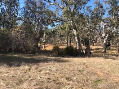 Farm Sold - VIC - Apsley - 3319 - Affordable Building/Lifestyle Option - 3 Titles - 1 Price  (Image 2)