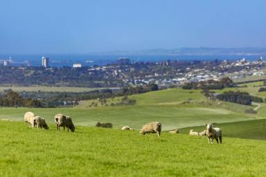Farm Sold - VIC - Barrabool - 3221 - "Shefferles" - within the prized Barrabool Hills  (Image 2)