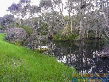 Farm Sold - WA - Bridgetown - 6255 - GO NUTS FOR A TREE CHANGE  (Image 2)