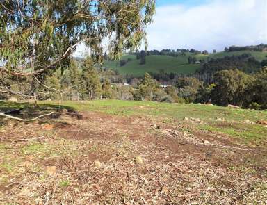 Farm Sold - WA - Balingup - 6253 - BAILEY VIEWS IN BALINGUP  (Image 2)