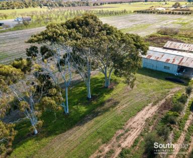 Farm Sold - SA - Whites Valley - 5172 - Buy Now – Build Later       Vacant Small Acreage – 9.8 acres approx.  (Image 2)