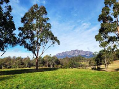 Farm Sold - TAS - Roland - 7306 - A Purely Magical Lifestyle Opportunity - SOLD  (Image 2)