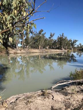 Farm Sold - NSW - Pomona - 2648 - Darling River Rareity  (Image 2)