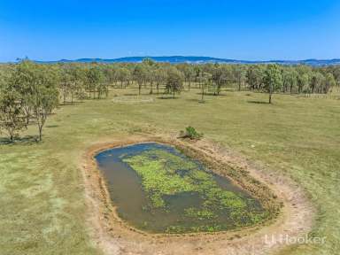 Farm Sold - QLD - Ebenezer - 4340 - SPACE FOR EVERYONE HERE ON 26.6 HORSEY ACRES  (Image 2)