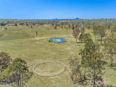 Farm Sold - QLD - Ebenezer - 4340 - SPACE FOR EVERYONE HERE ON 26.6 HORSEY ACRES  (Image 2)