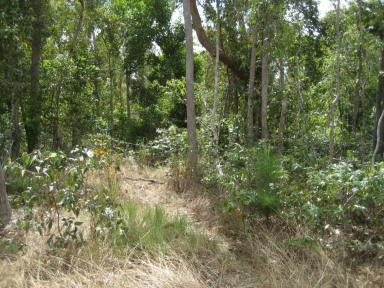 Farm Sold - QLD - Cardwell - 4849 - Vacant rural block with power & water...  (Image 2)
