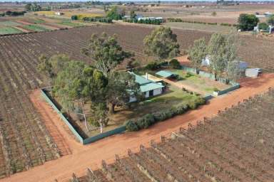 Farm Sold - VIC - Merbein - 3505 - WINE GRAPE VINEYARD WITH CHARACTER HOMESTEAD  (Image 2)