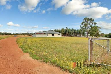 Farm Sold - WA - Manjimup - 6258 - Your Portion of Country  (Image 2)