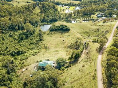 Farm Sold - QLD - Hunchy - 4555 - COUNTRY LIVING IN THE HEART OF HUNCHY..... MINUTES AWAY FROM PALMWOODS.....RURAL LIFESTYLE.....AWAY FROM IT ALL  (Image 2)