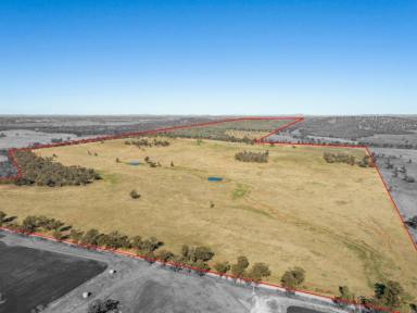 Farm Sold - NSW - Young - 2594 - 677 ACRES  (Image 2)