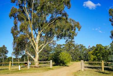 Farm Sold - NSW - Jerrys Plains - 2238 - This acreage is the text-book definition of a lifestyle property.  (Image 2)