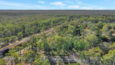 Farm Sold - QLD - Watalgan - 4670 - 8,381m2 of Peaceful Sanctuary  (Image 2)