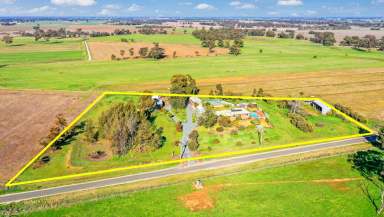 Farm Sold - VIC - Rochester - 3561 - Lifestyle Farmlet close to Rochester  (Image 2)