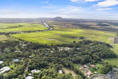 Farm Sold - QLD - Maroochy River - 4561 - High End Home Set on Pristine Acreage & Sensational Views.  (Image 2)