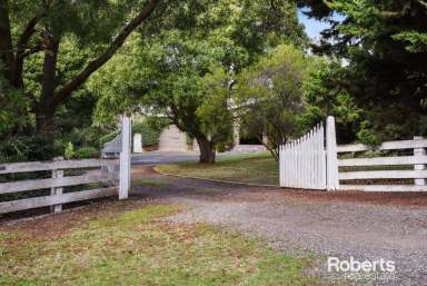 Farm Sold - TAS - Youngtown - 7249 - ** UNDER CONTRACT **  (Image 2)