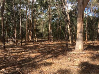 Farm For Sale - NSW - Kurrajong - 2758 - RARE FIND WITH GREAT POTENTIAL - 58 ACRES  (Image 2)