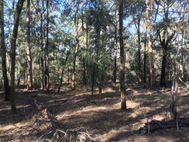 Farm For Sale - NSW - Kurrajong - 2758 - RARE FIND WITH GREAT POTENTIAL - 58 ACRES  (Image 2)