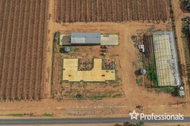 Farm For Sale - VIC - Cardross - 3496 - Quality Table Grape Property  - 32.44 Acres  (Image 2)