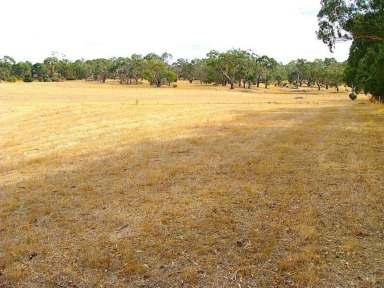 Farm Sold - VIC - Hamilton - 3300 - Lot 1 W Schultz Road Hamilton, 3300  (Image 2)