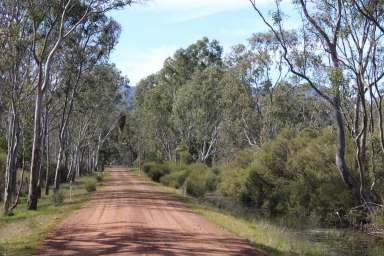 Farm Sold - VIC - Mooralla - 3314 - Bush block with income  (Image 2)