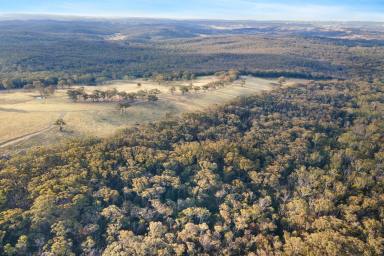 Farm Sold - NSW - Brayton - 2579 - Private Bush Sanctuary!  (Image 2)
