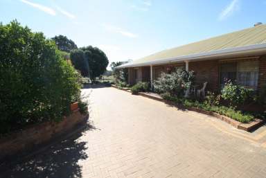 Farm Sold - WA - Narrogin - 6312 - Spacious 5 x 2 Family Home (Price Drop)!!!!  (Image 2)