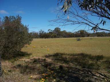 Farm Sold - WA - Wagin - 6315 - CAST YOUR EYE ON THIS ONE  (Image 2)