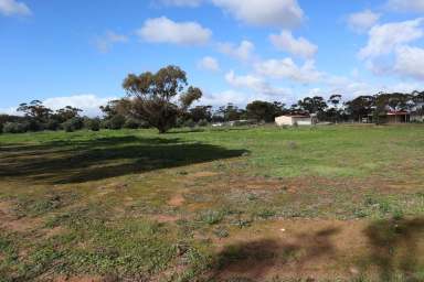 Farm Sold - WA - Wagin - 6315 - OLIVE GROVE RURAL LIFESTYLE  (Image 2)