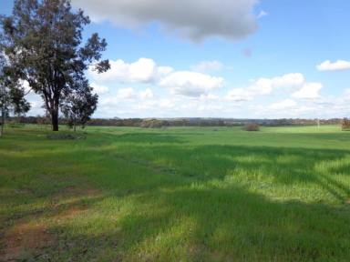 Farm Sold - WA - Wagin - 6315 - Country Dream (5 acres)  (Image 2)