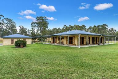 Farm Sold - NSW - New Italy - 2472 - Fantastic Acreage Near The Coast With Room For Extended Family!  (Image 2)