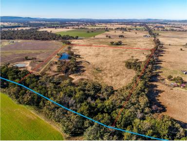 Farm Sold - NSW - Gulgong - 2852 - Make the Break to the Country  (Image 2)