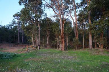 Farm Sold - WA - Argyle - 6239 - SECLUDED RIVERFRONT PROPERTY  TWO RESIDENCES  (Image 2)