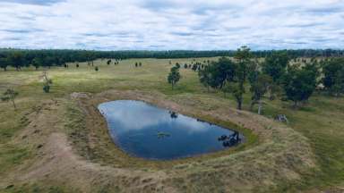 Farm Sold - NSW - Caroona - 2343 - Caroona Grazing and Mixed Farming  (Image 2)