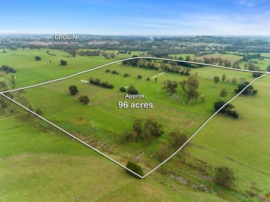 Farm Sold - VIC - Drouin - 3818 - "HILLVIEW"  - COUNTRY LIVING, TOWN CONVENIENCE.  (Image 2)