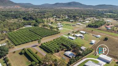 Farm Sold - QLD - Alligator Creek - 4816 - SOLD By Mal Charlwood  (Image 2)