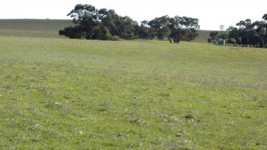 Farm Sold - SA - Coonalpyn - 5265 - Looking for a warm productive grazing block..look no further  (Image 2)